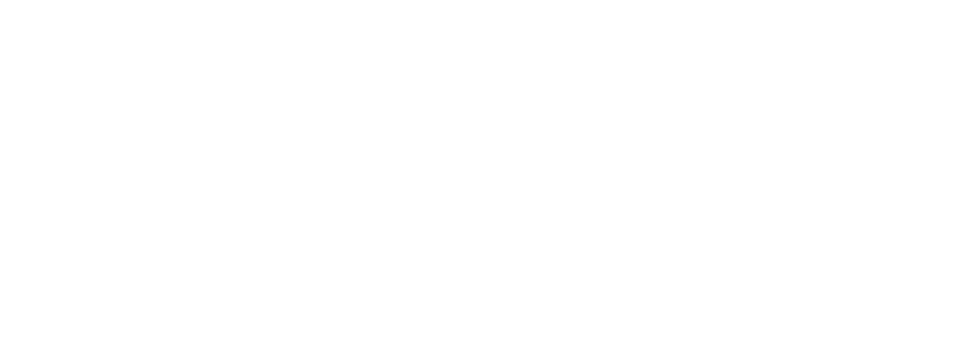 Born Logo